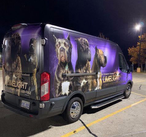 Van wrap for Cane Corso breeder USA