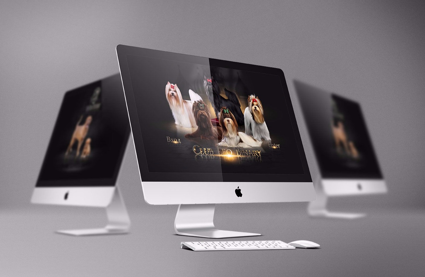 Breeder website design