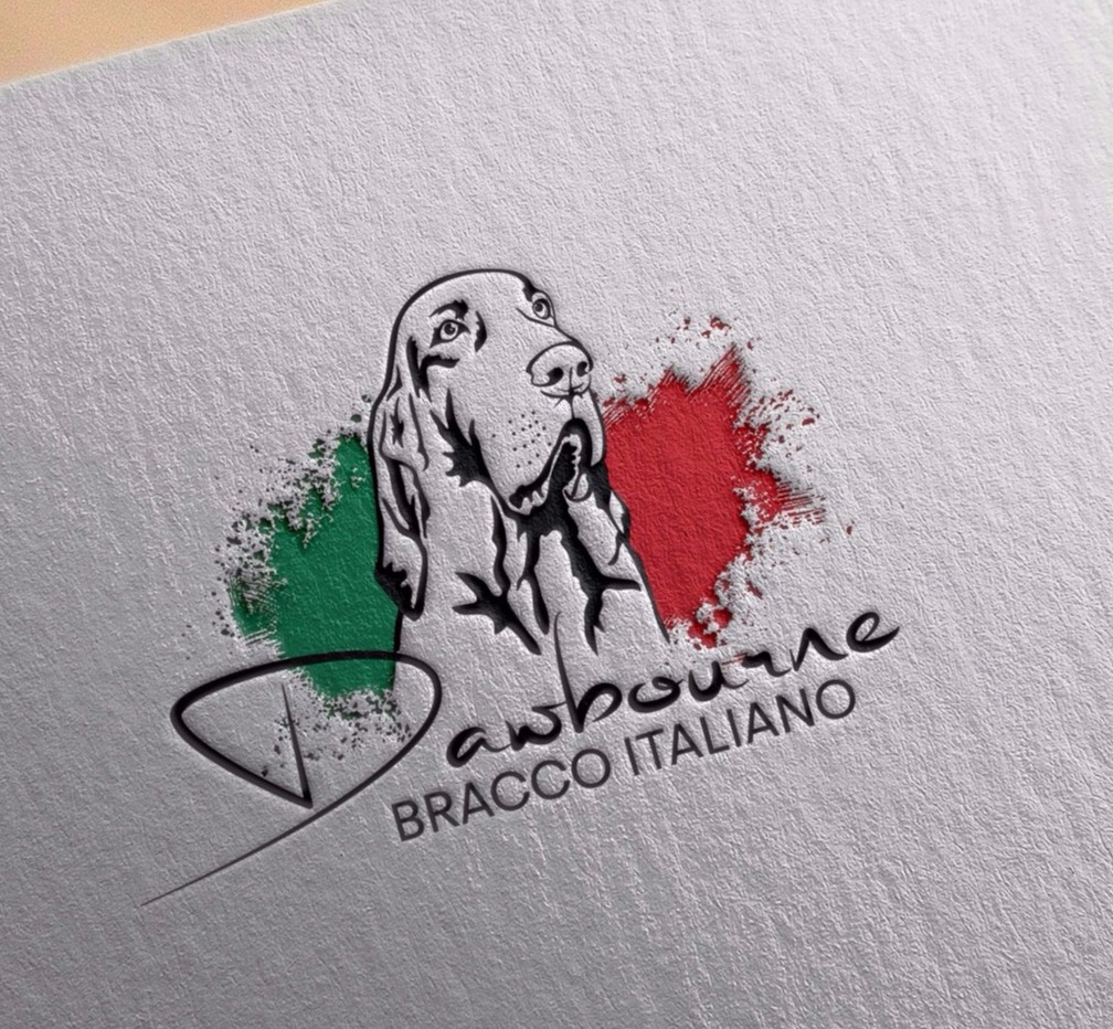 Logo for Bracco Italiano breeders. UK professional kennel logo