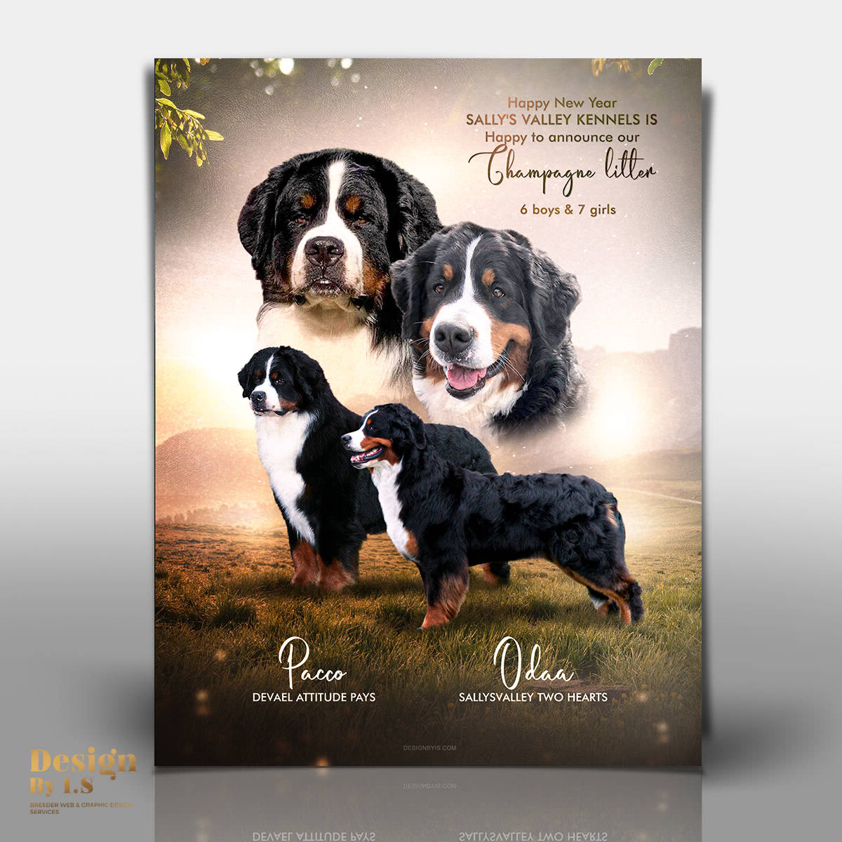 litter announcement. Graphic design for breeders