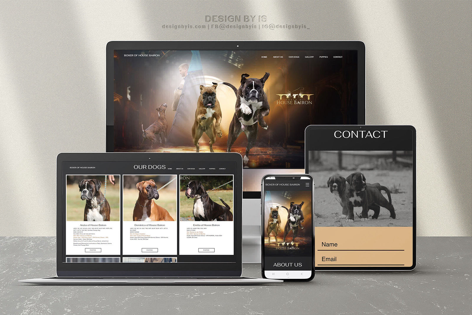 boxer of housebairon