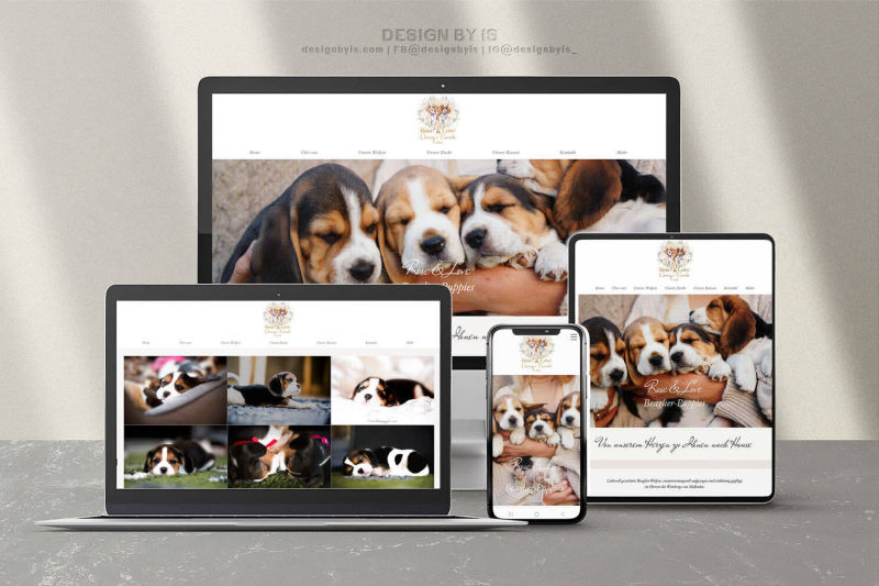 Beaglier breeder website