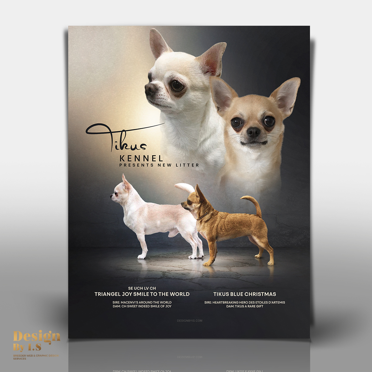 Dog breeding banners design 