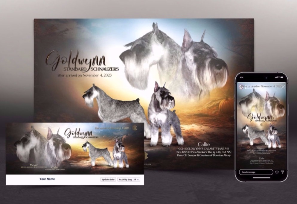 Breeder ad